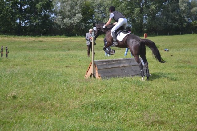 reitertag 2013 230